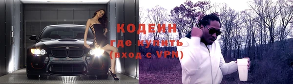 прущие грибы Михайловка