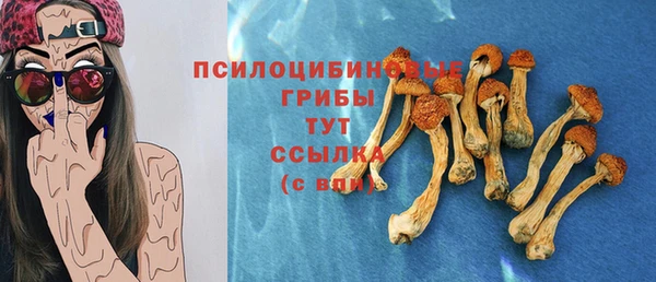 СК Михайловск
