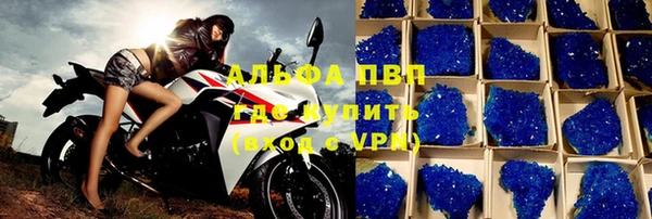 прущие грибы Михайловка