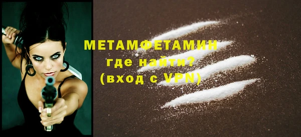 прущие грибы Михайловка