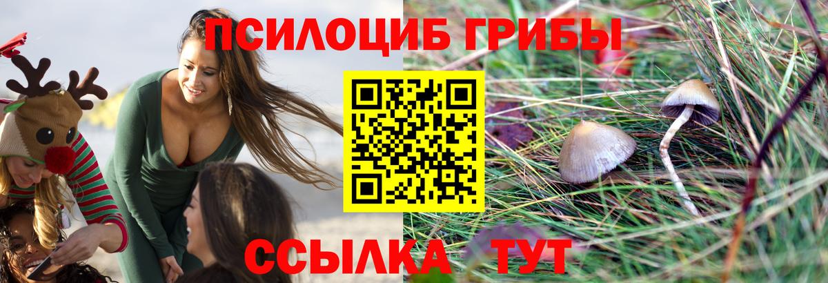 Галлюциногенные грибы GOLDEN TEACHER  купить   Липецк  Галлюциногенные грибы Psilocybe  Вход с VPN 